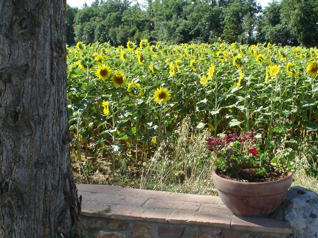 Casale Il Colombaio Di Toiano Guest House Valli Room photo